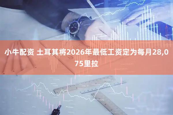 小牛配资 土耳其将2026年最低工资定为每月28,075里拉