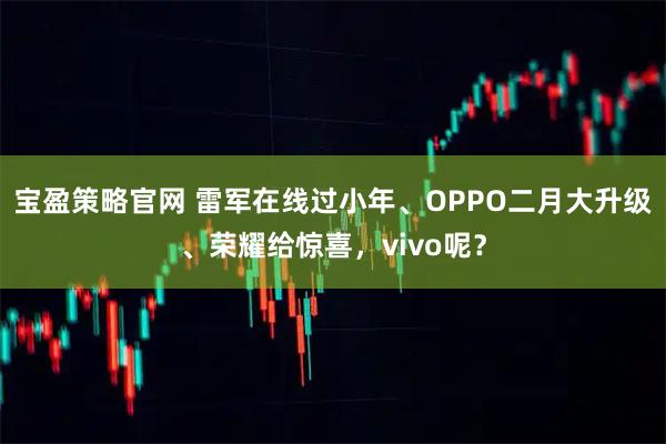宝盈策略官网 雷军在线过小年、OPPO二月大升级、荣耀给惊喜，vivo呢？